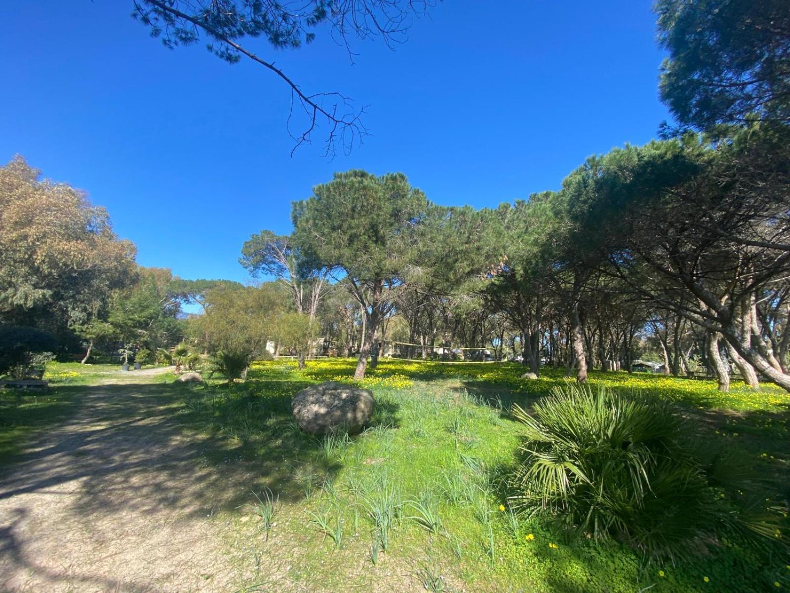 Camping Village Flumendosa サンタ・マルゲリータ・ディ・プーラ エクステリア 写真